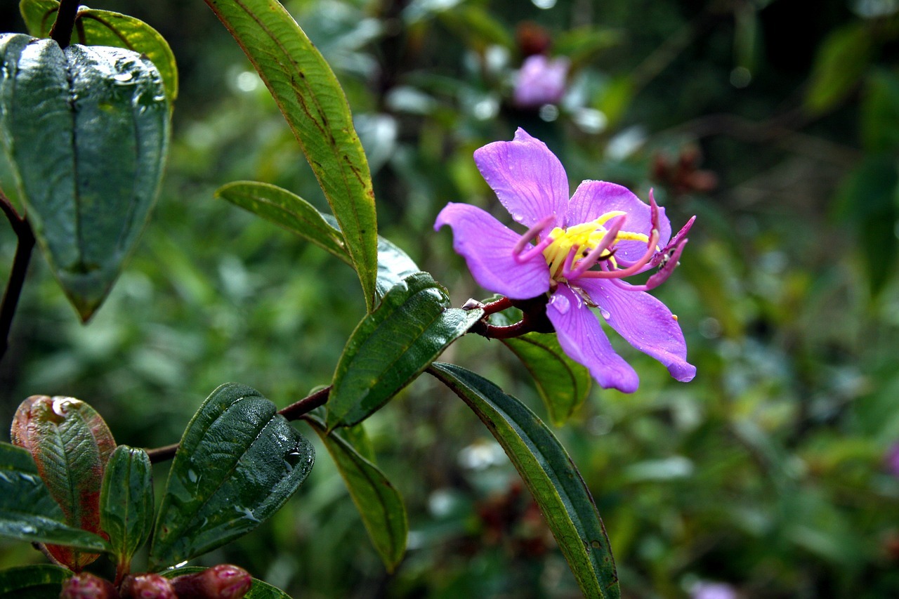 국립 운장산자연휴양림 예약