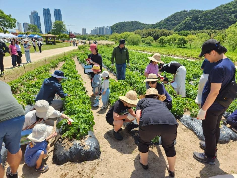 [5월 축제]2025 태화강 국가정원 봄꽃축제❘개요, 일정 및 프로그램 사전 예약 방법