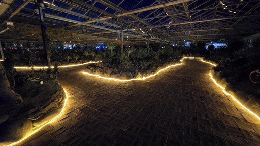 2025 함평 겨울빛축제 일정&middot;프로그램&middot;포토존&middot;먹거리 완전정리 관련 사진