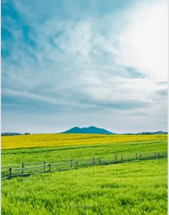 고창 맛집 베스트10 숨겨진 나만 아는 맛집_12