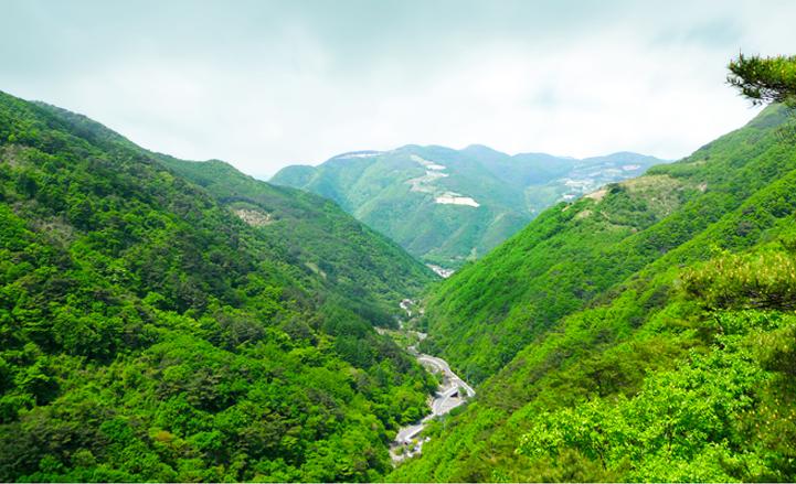 청량산 관현 사진 (AI 제공)
