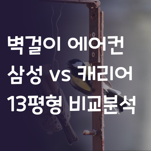 벽걸이 에어컨 고민 끝! 삼성, 캐리..