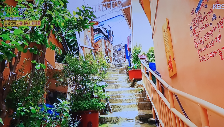 시화마을 바보사진관 (흑백사진관)