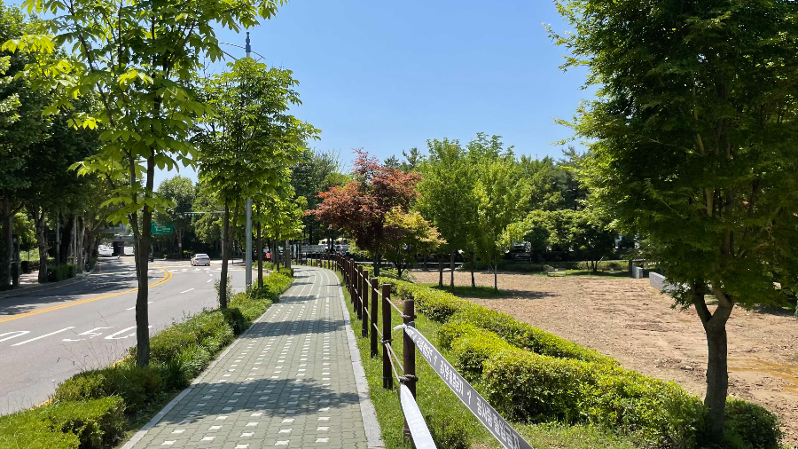 양재(매헌)시민의 숲 나들이 가는길