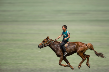 몽골 나담 축제 (Naadam Festival): 초원의 전사들이 펼치는 3대 전통 스포츠