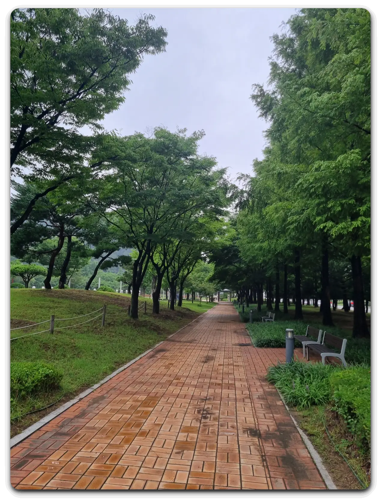 공원-산책로