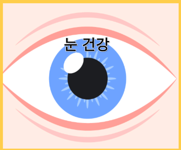 하이퍼셀 오메가3 - 눈건강