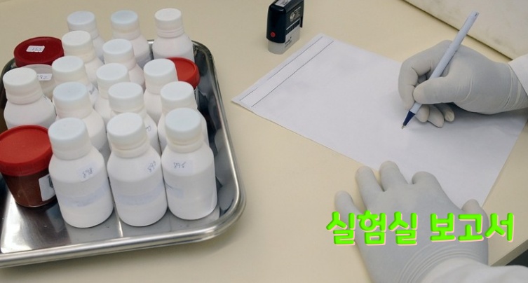 실험실-보고서