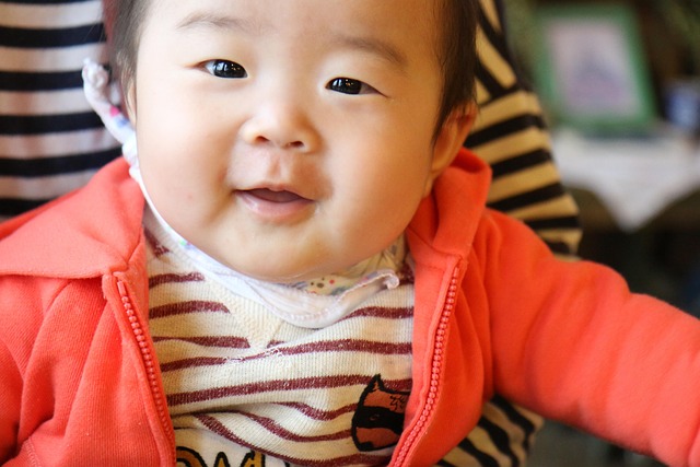 이유식 식단표 한눈 정리｜초기&middot;중기&middot;후기(4~11개월) 월령별 총정리