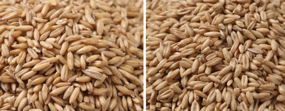 좌 : 국내산 우 : 캐나다산