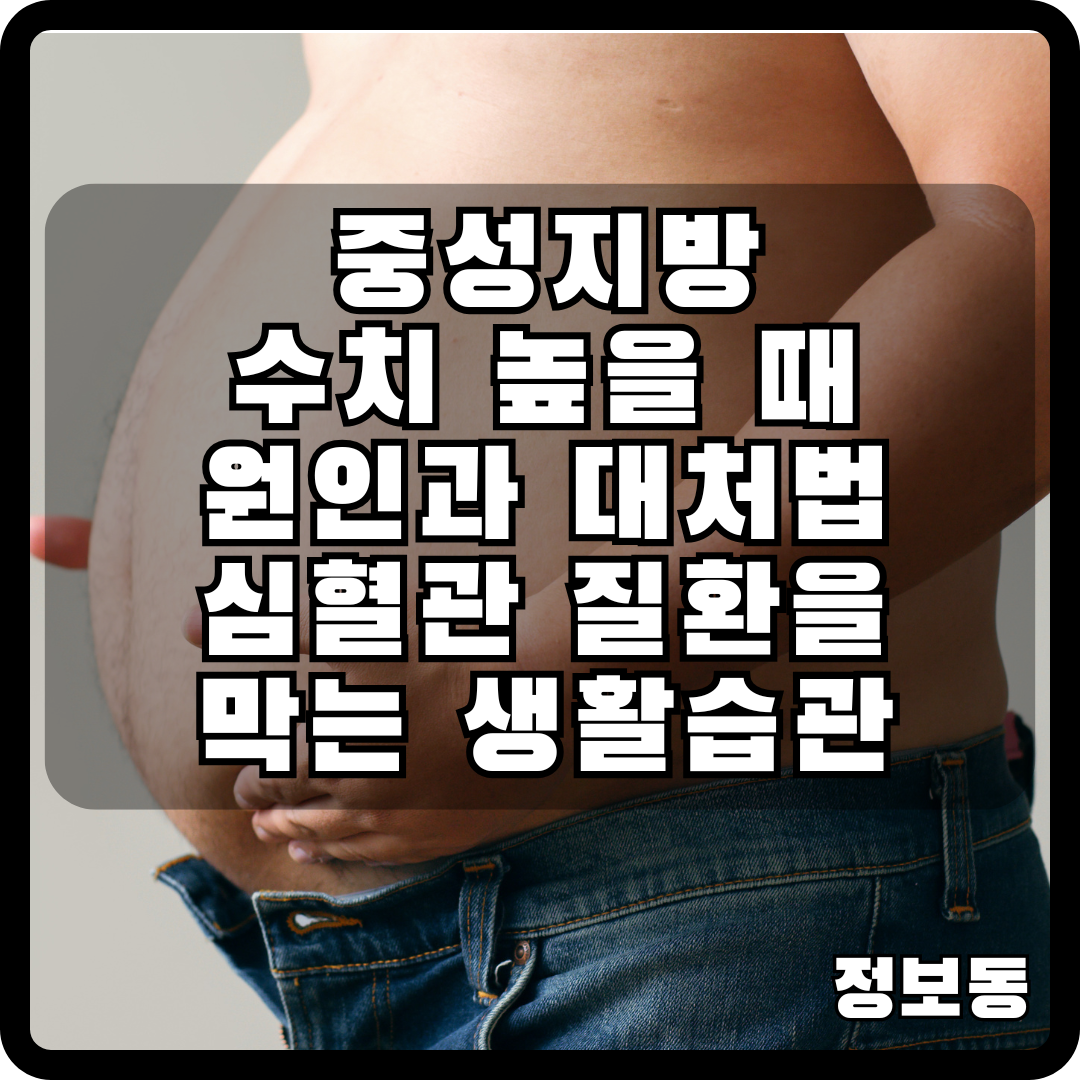중성지방 수치 높을 때 원인과 대처법 심혈관 질환을 막는 생활습관