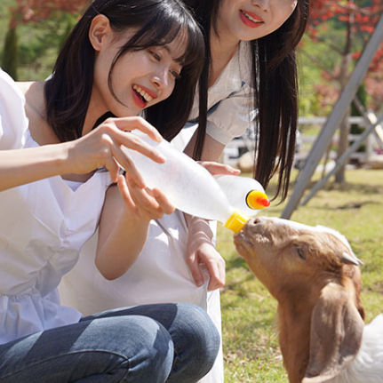 6, 7월 국내 여행지 가평 추천!