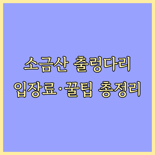 원주 소금산 그랜드밸리 입장료 운영 ..