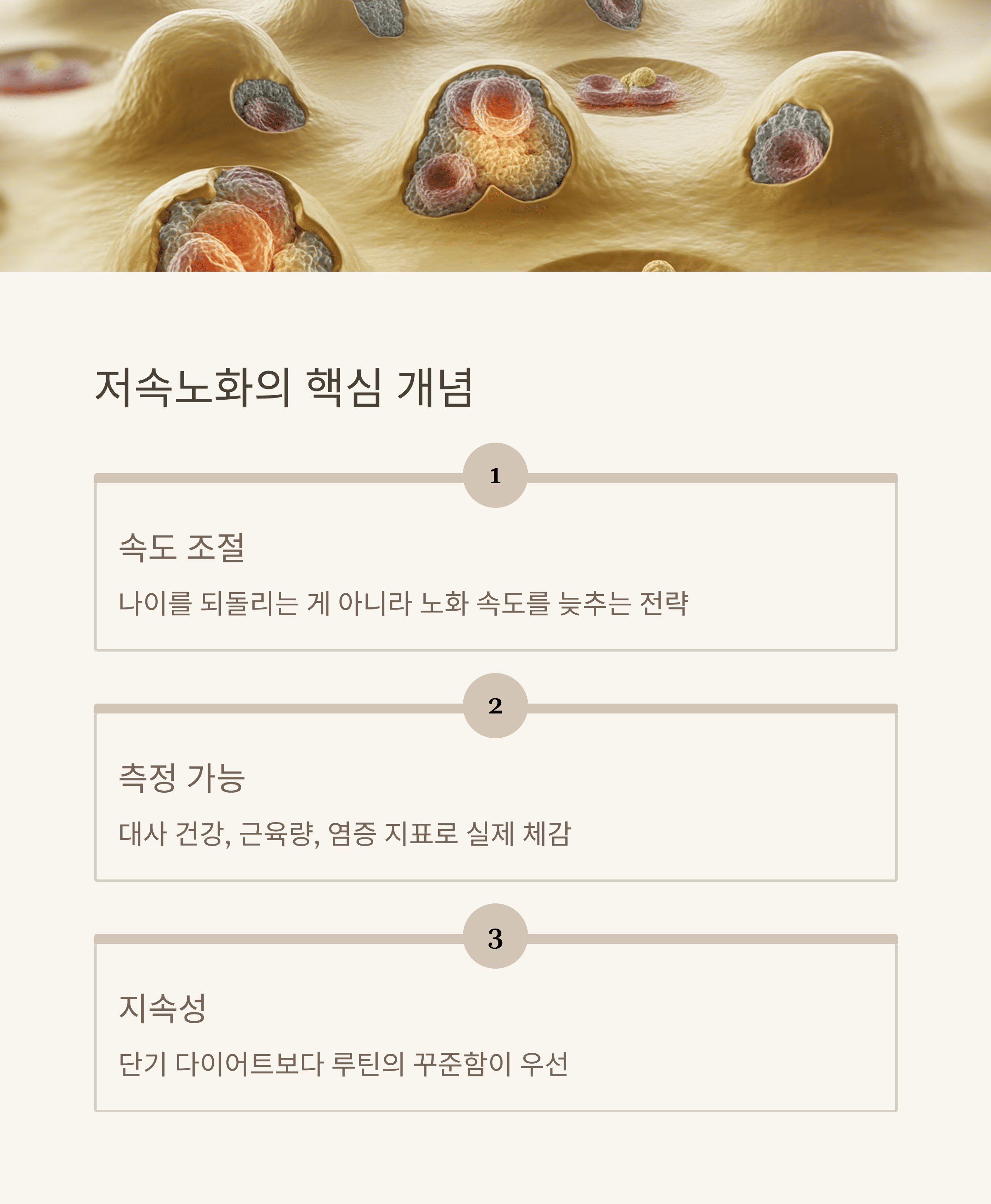 저속 노화(느리게 늙기) 실천 가이드