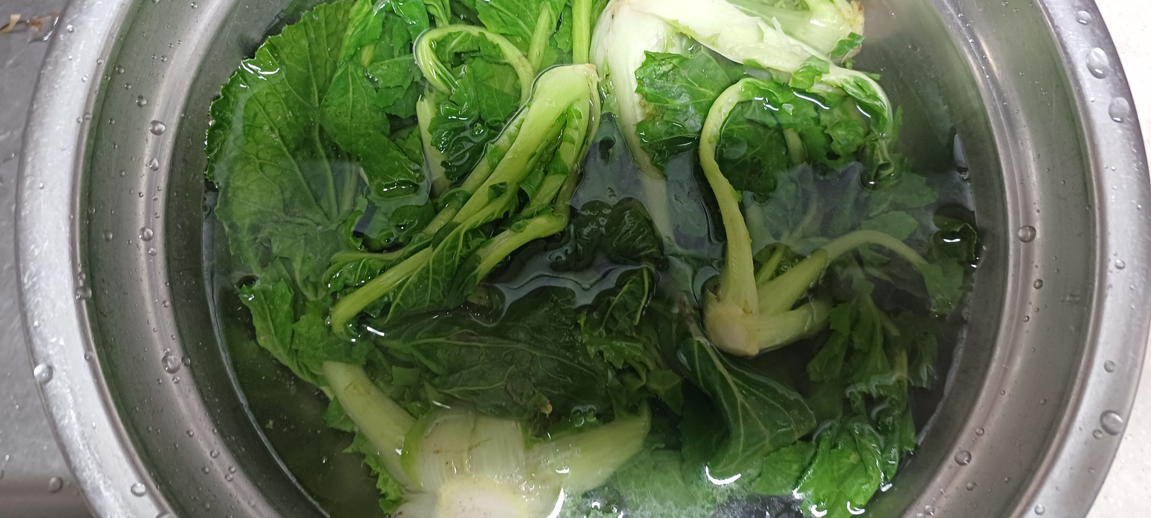 데친 겨울초 씻기