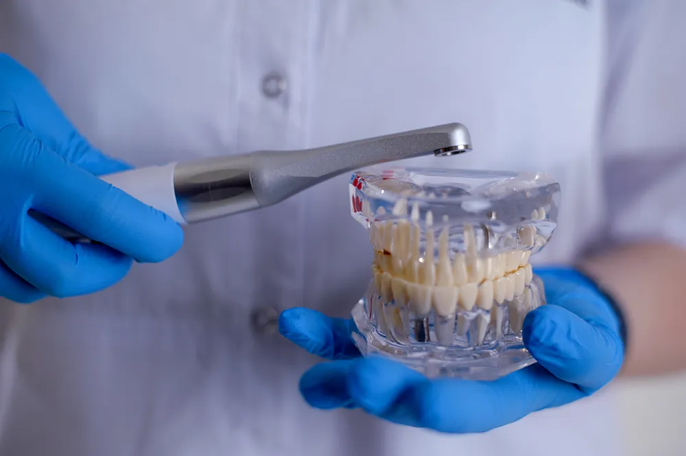 건강한 치아 관리법