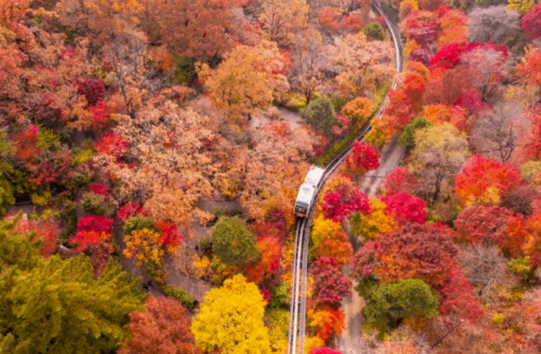 모노레일