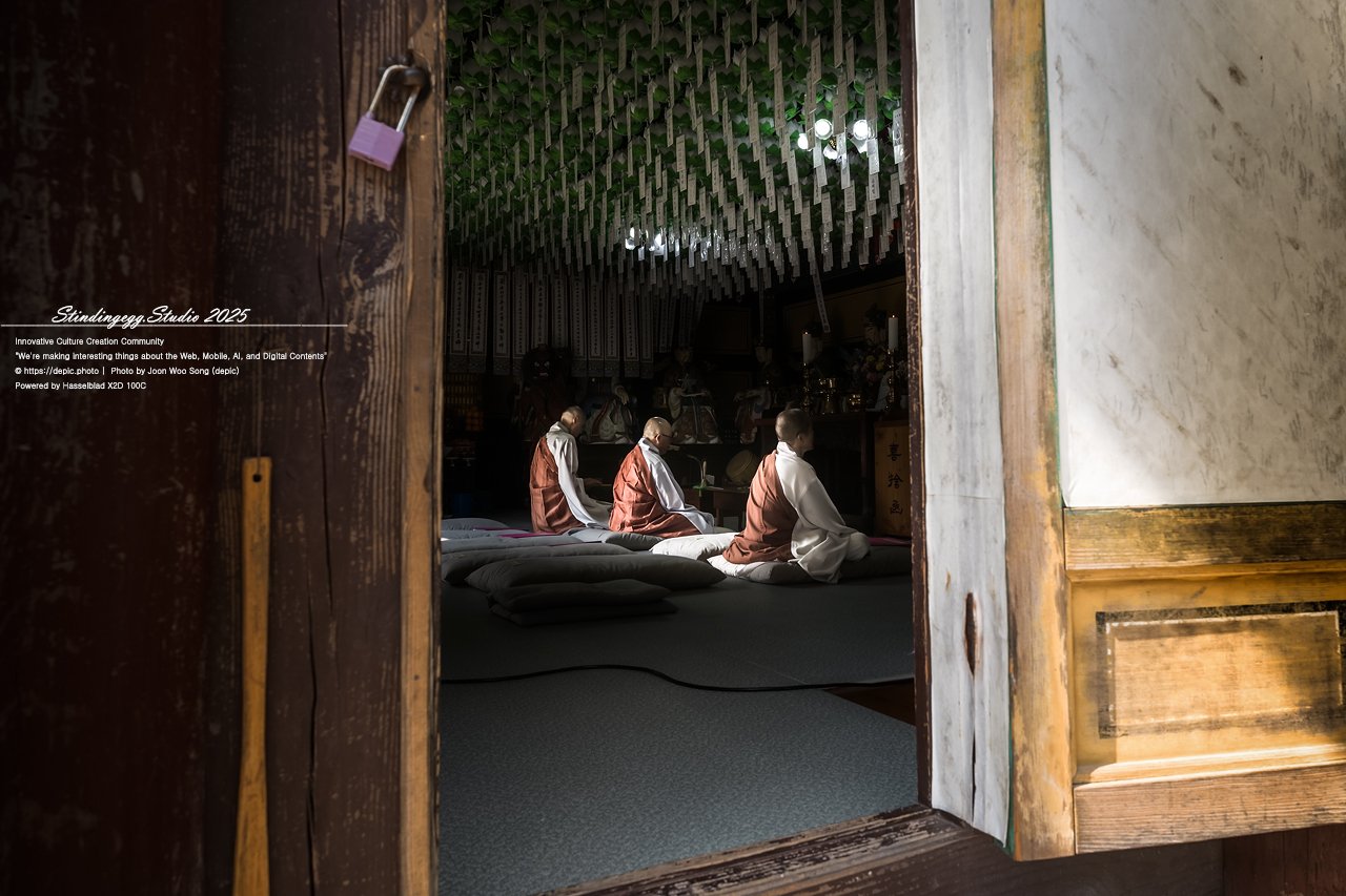 #보은 #법주사 #속리산 #스님 #승려 #불교