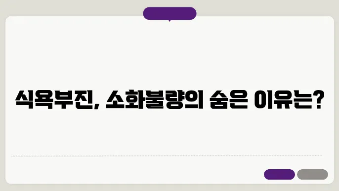 식욕부진 원인 소화불량 원인