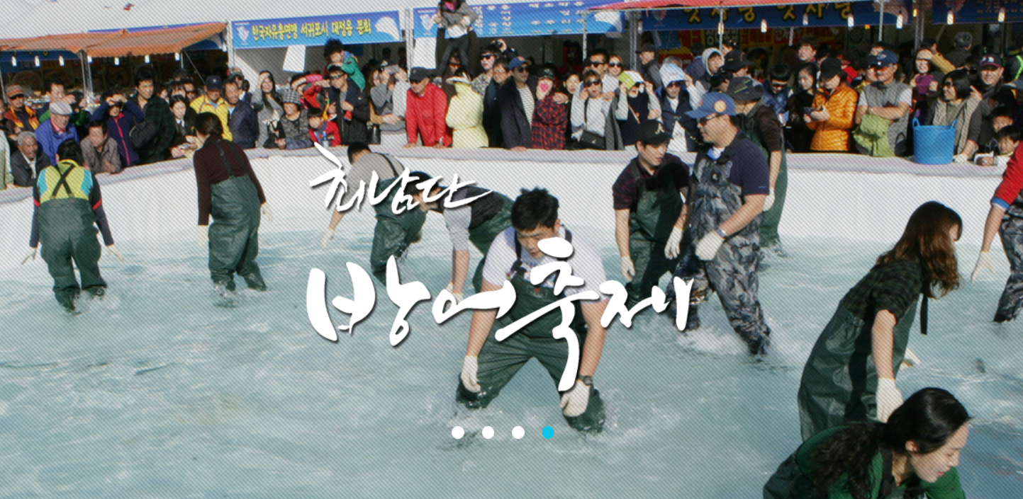 [11월] 제주 최남단방어축제 정보 2024.11.28 ~ 2024.12.01