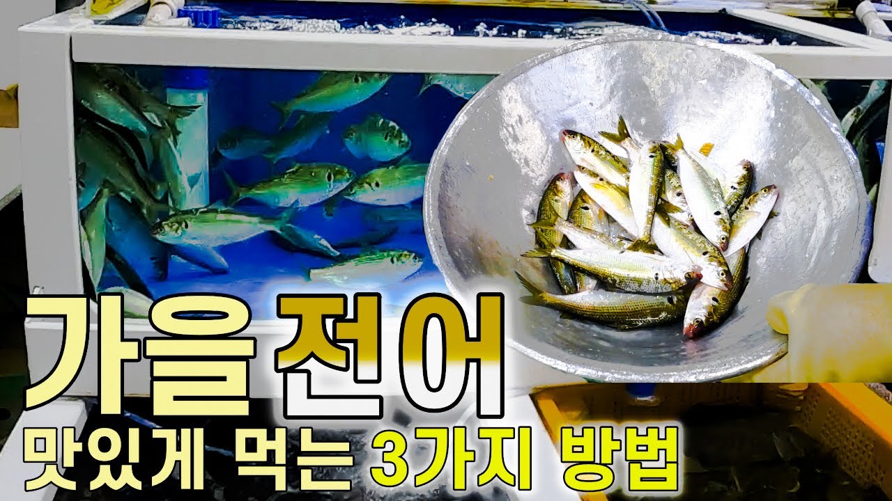전어를 맛나게 먹는 법