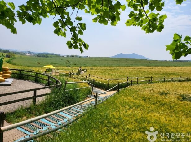 고창 가볼만한곳 베스트 10