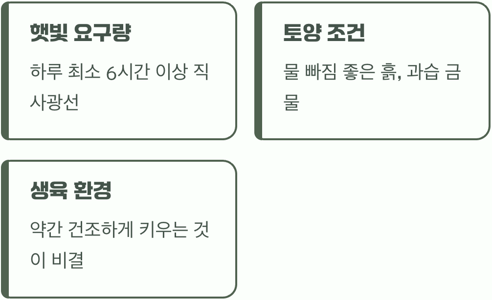 이국적인 식물을 위한 최고의 명당