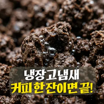 냉장고 냄새 커피 한 잔이면 끝!
거친 질감의 짙은 갈색 원두 찌꺼기 입자들 사이로 공기 방울이 흡수되는 듯한 느낌의 **초밀착 클로즈업(Extreme Close-up)**
