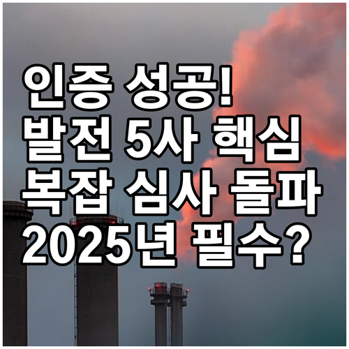 복잡한 개별 심사 끝 2025 발전 ..