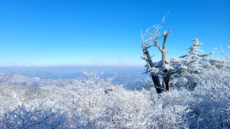태백산 설경