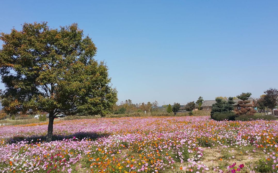 줄포만 노을빛정원