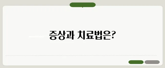 어깨 회전근개 파열 vs 충돌 증후군 증상 치료법 비교