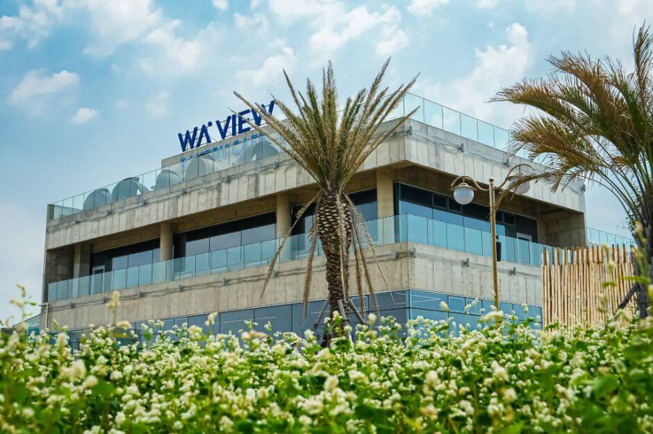 2025 제주도 웨이뷰 메밀꽃밭 축제&amp;#44; 웨이뷰에서 사랑하는 사람들과 행복한 시간을 보내세요!