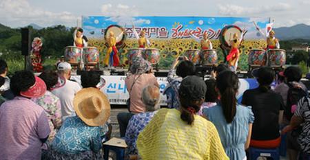 강주 해바라기 축제