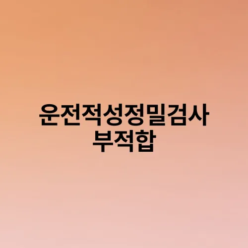 운전적성정밀검사 부적합