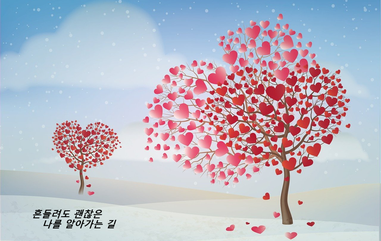 자존감과 자신감 관련 이미지