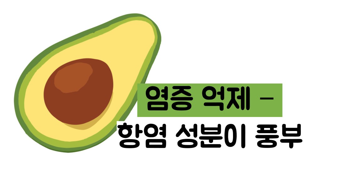 아보카도 효능