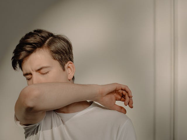 겨울철 건강관리 루틴 면역력&middot;감기&middot;비타민D&middot;수면까지 완성하는 건강보조식품 가이드