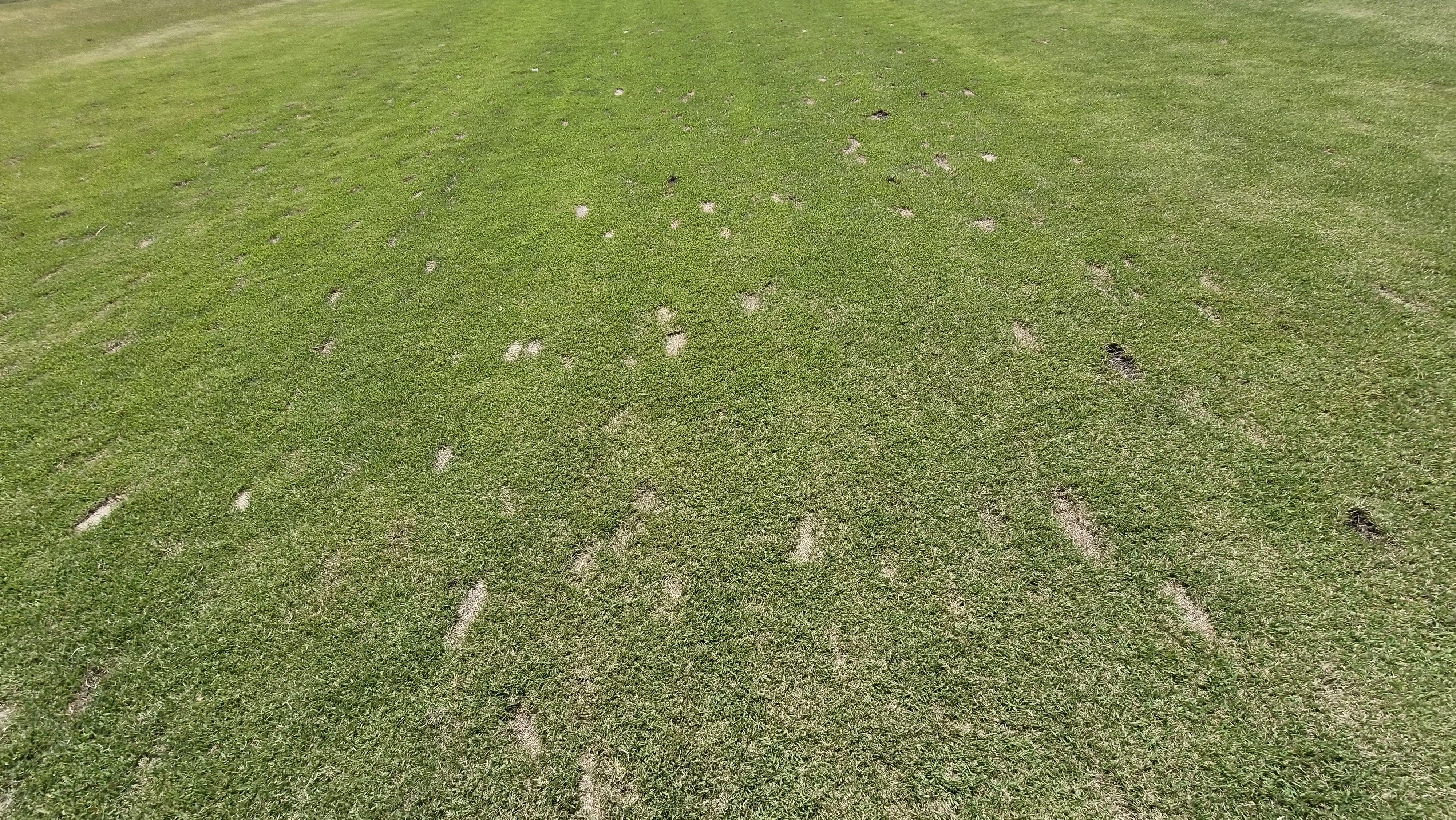 포웰cc 프린세스 라운드 후기