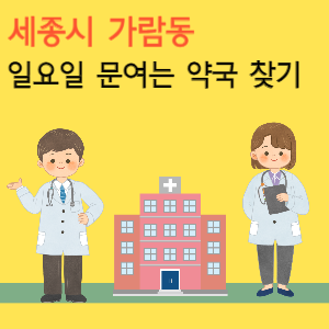 세종시 가람동 일요일 문여는 약국 찾기