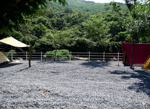 용천토리사이트