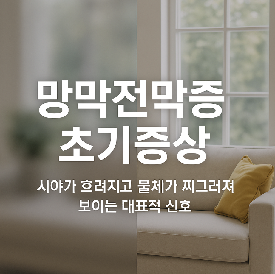 망막전막증 초기증상 시야가 흐려지고 물체가 찌그러져 보이는 대표적 신호