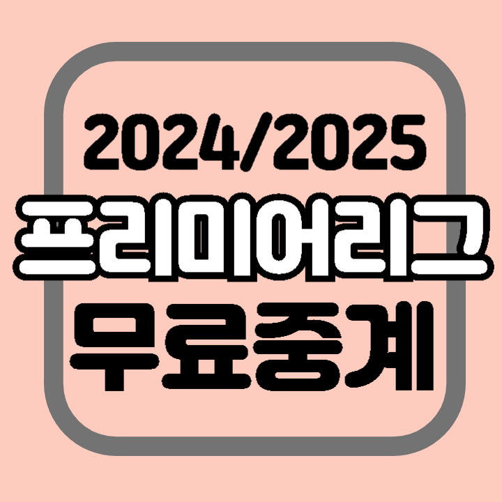 2024 프리미어리그 무료 중계 채널 고트티비