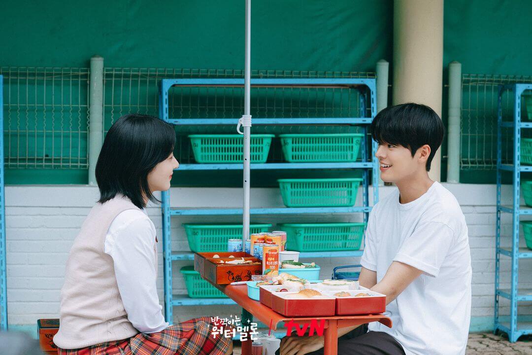 반짝이는 워터멜론