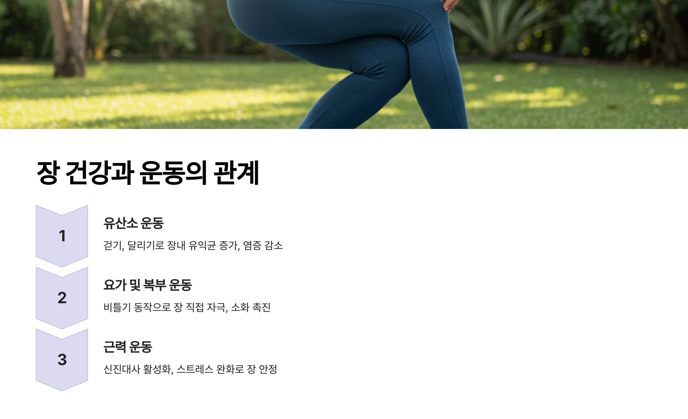 장 건강과 운동의 관계