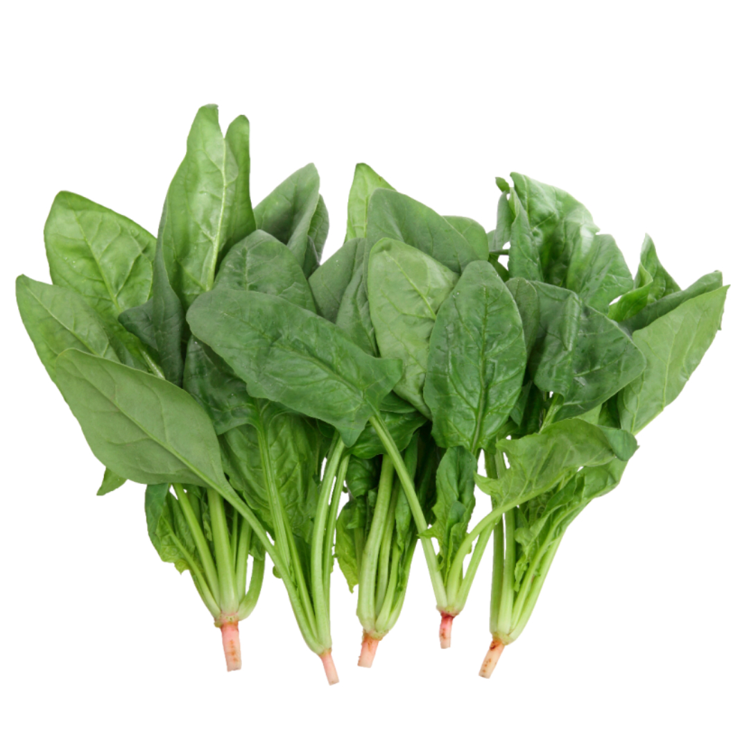 비오틴과 관련된 사진입니다.