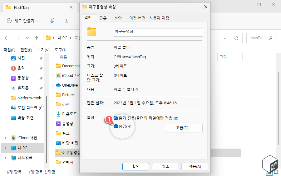 일반 탭에서 '숨김(H)' 선택