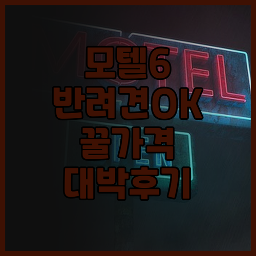모텔 6 시카고 일리노이 후기! 반려..
