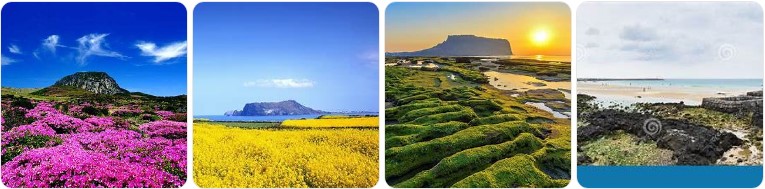 제주도 5월 여행