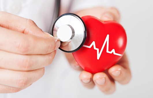 심장건강에 효과